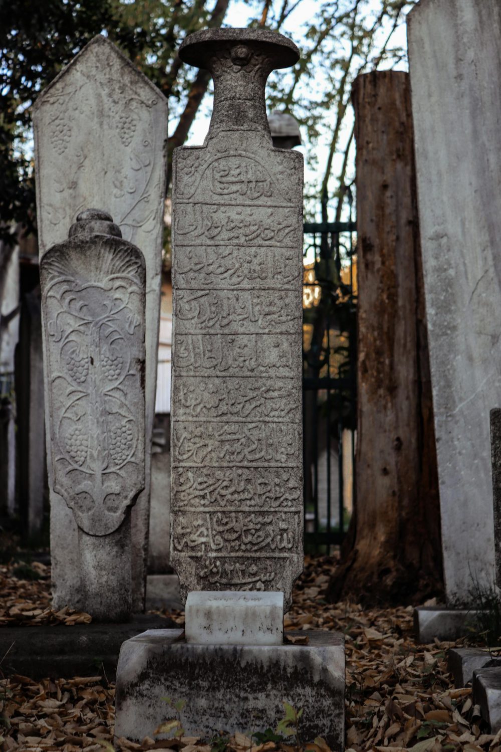 Arabic-inscribed tombstones in a historic Istanbul cemetery amidst fallen leaves.