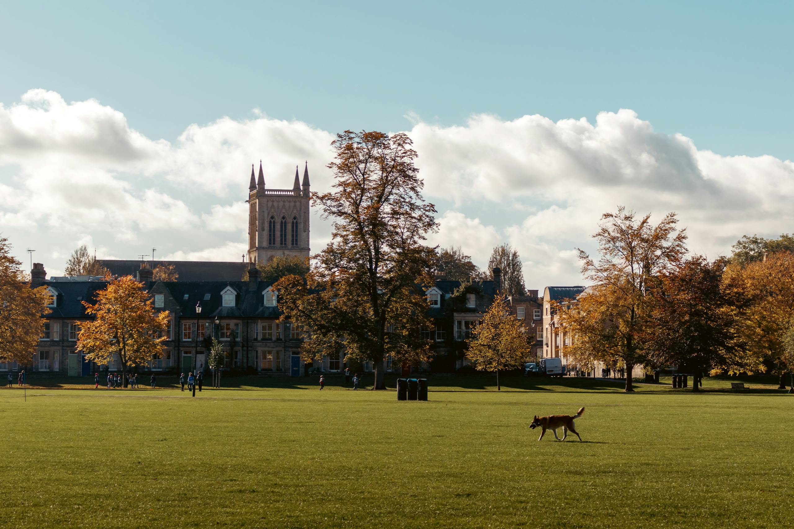Scenic autumn view of a college campus in Cambridge with trees, lawn, and architecture.